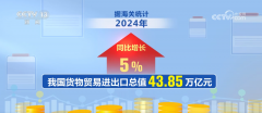 2024年我国外贸进出